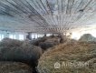 Продам ферму в Динском районе.: 
